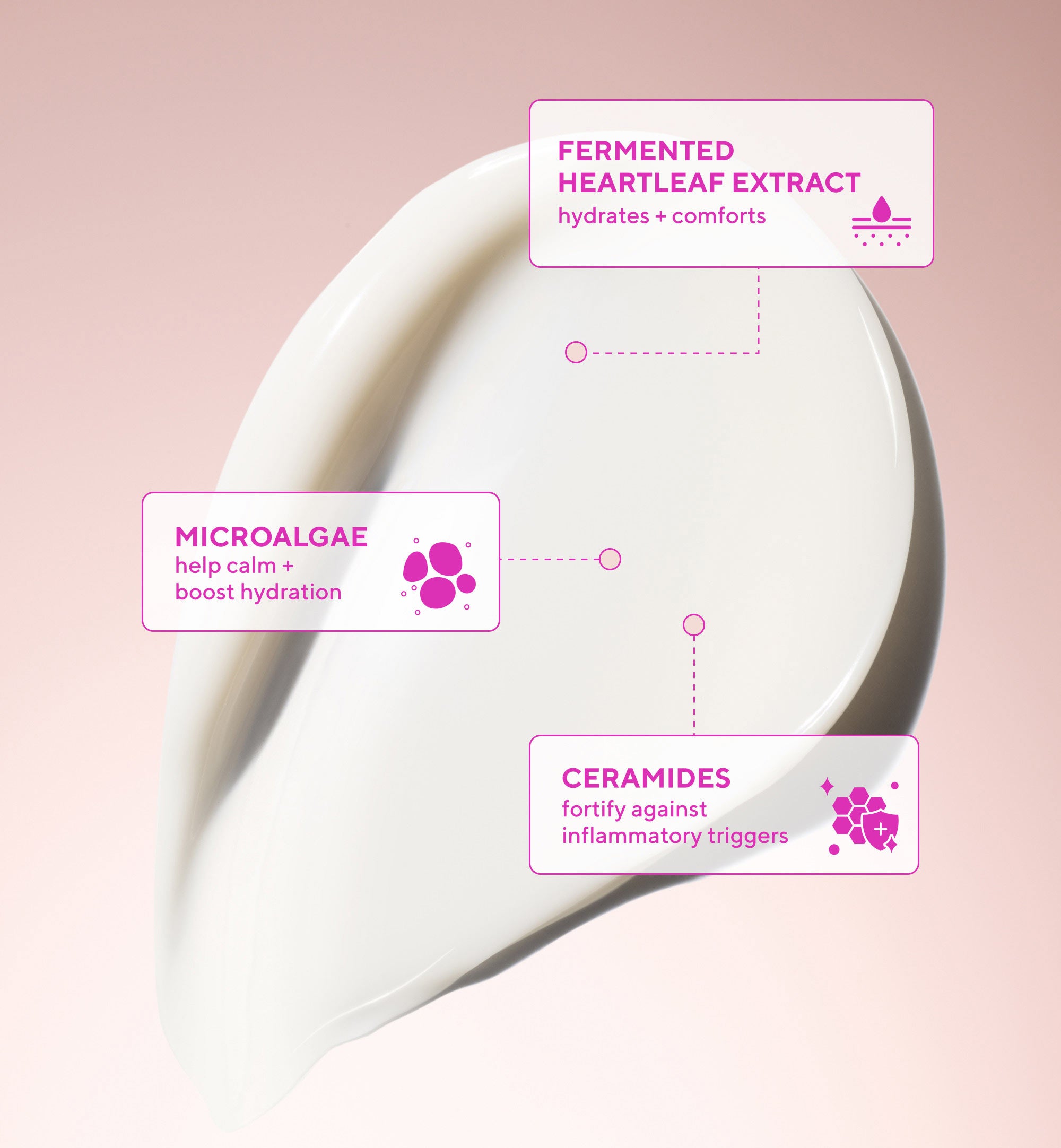 Heartleaf Calming Cream Moisturizer for Sensitive Skin and Eczema-Prone Skin - Image 7
